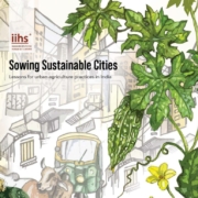 Sowing Sustainable Cities_Okapi Advisory